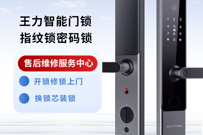 王力智能门锁 王力智能门锁